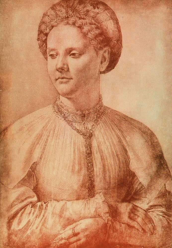 レオナルドダヴィンチが描いた貴婦人の肖像。内閣描画と版画